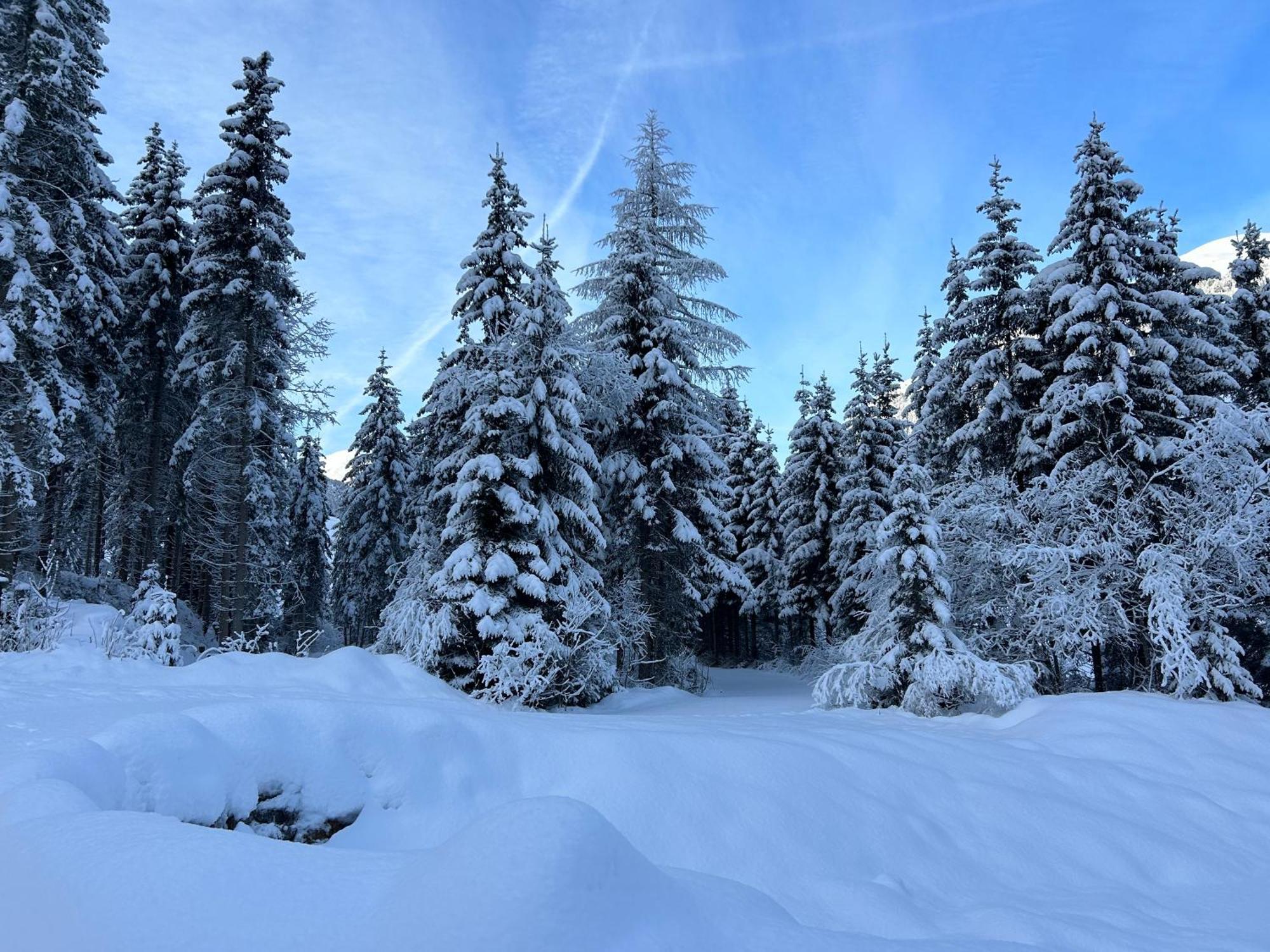 Haus Waldblick Daire Hopfgarten in Defereggen Dış mekan fotoğraf